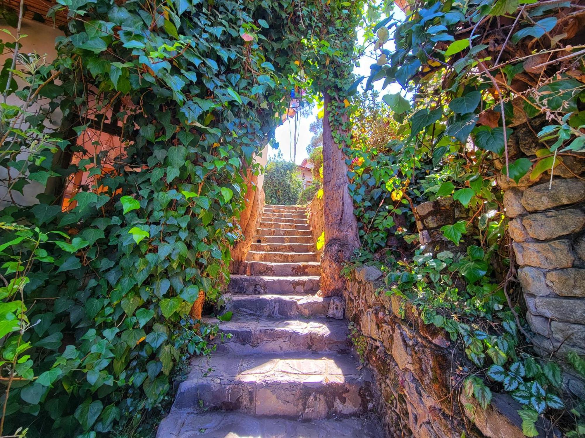 La Casa De Campo Cusco Ngoại thất bức ảnh